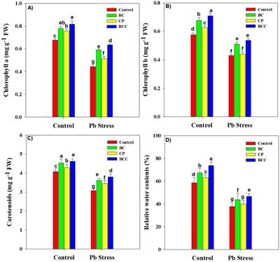 Biochar co-compost increases the productivity of Brassica napus by improving antioxidant activities and soil health and reducing lead uptake